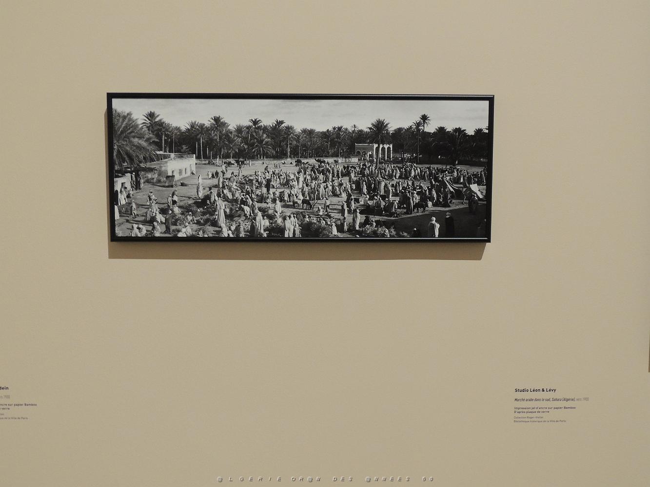 2022 07 07 TOULON L ALGERIE DES PEINTRES 1830-1930 (56).jpg
